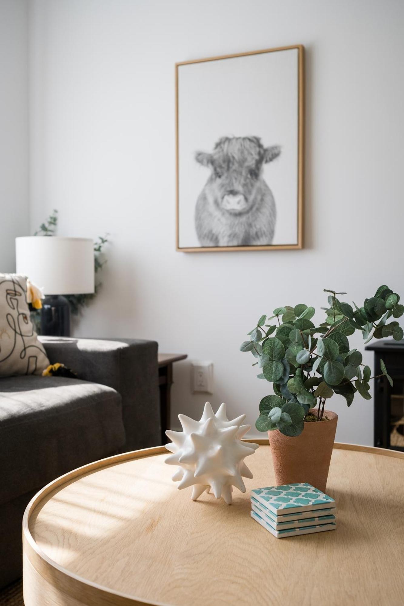 The Darcie House - Cozy, Pet-Friendly Home In Pec Picton Buitenkant foto